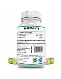 Laventrix Garcinia Cambogia Herbs-1 Bottle