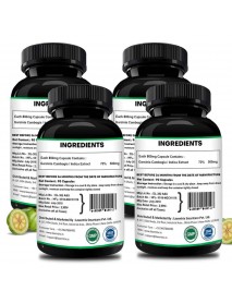 Laventrix Garcinia Cambogia Herbs  (90 caps) 4 Bottle